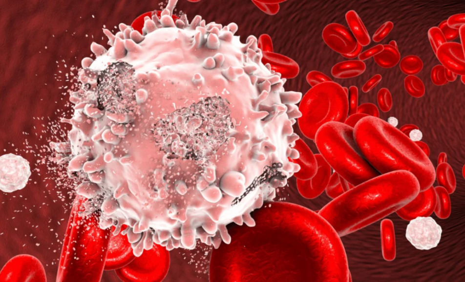 INDIA INTERNATIONAL CLINICAL HAEMATOLOGY EXPO