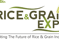 Rice Grains GZ