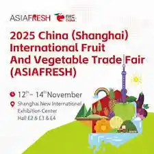 2026 Electronica China (Shanghai)