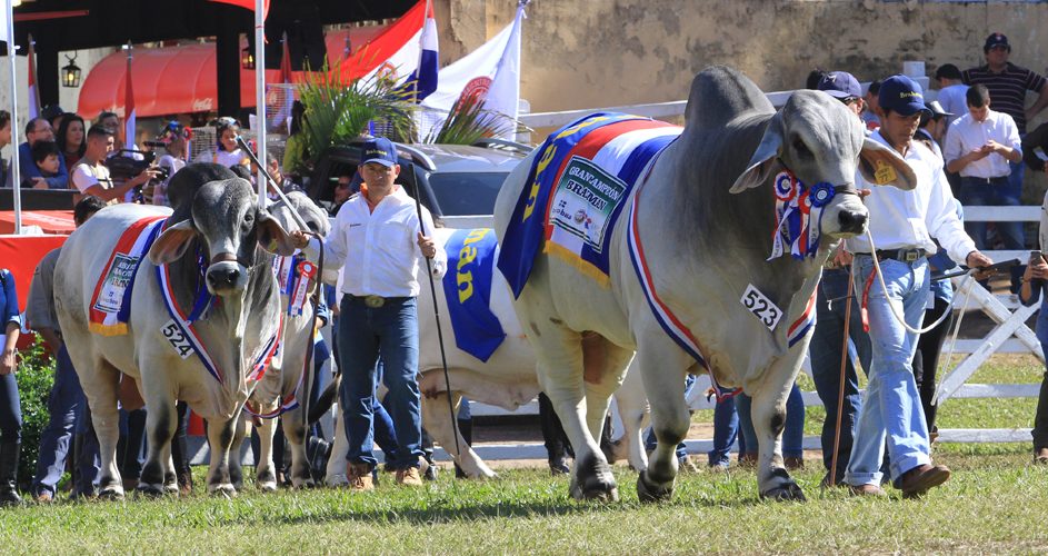 Expo Paraguay